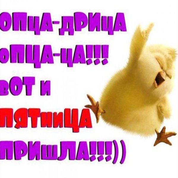 Смешные открытки для поднятия настроения