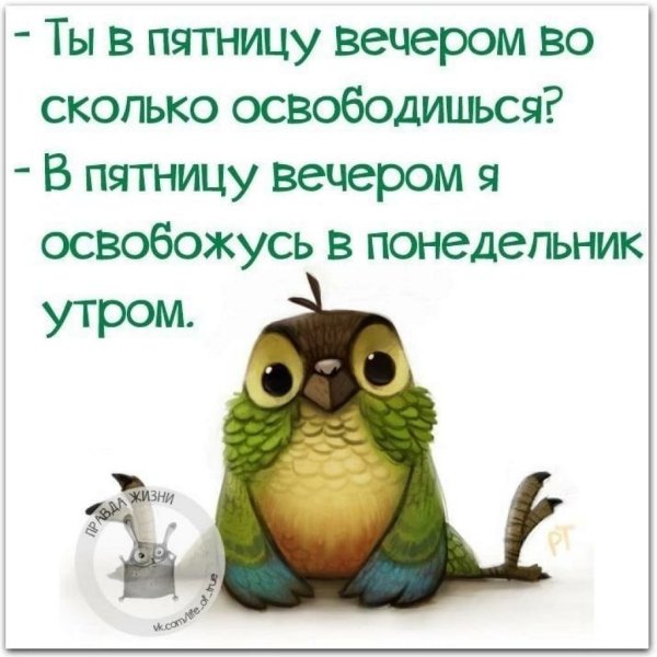 Высказывания про пятницу