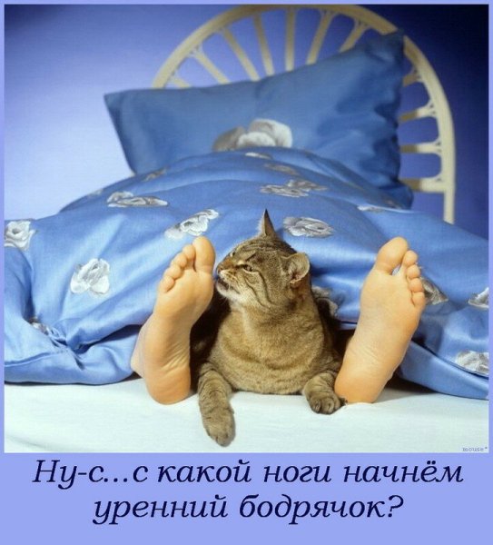 С добрым утром прикольные