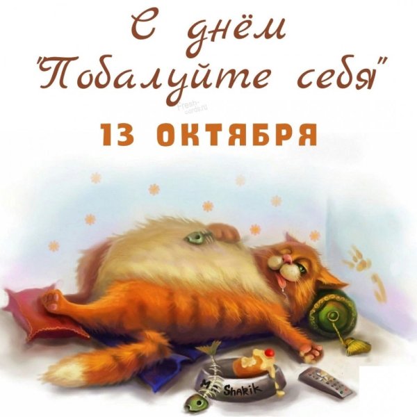 Анекдоты про выходные