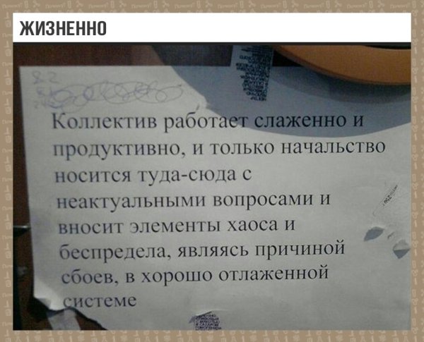 Цитаты про коллектив
