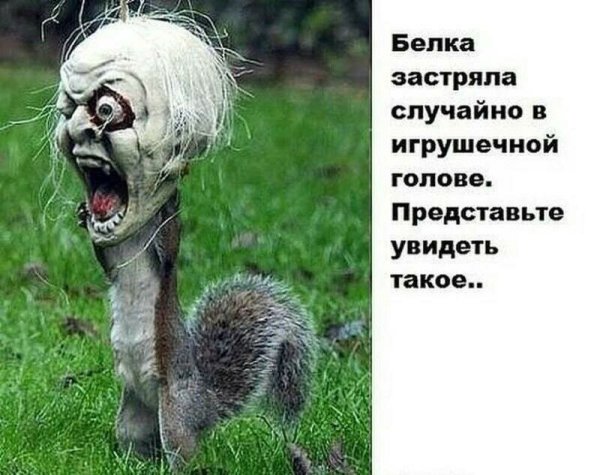 Весёлые картинки прикольные