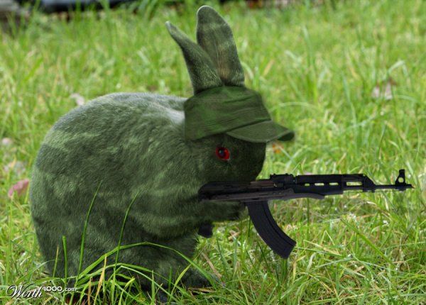 Боевой кролик