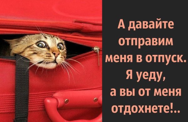 В отпуск прикольные