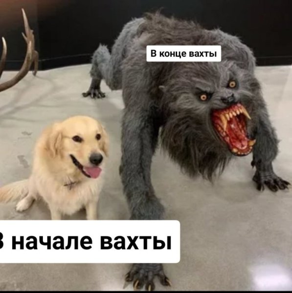 С началом вахты