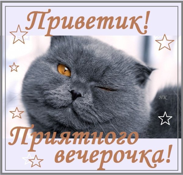 Приветик добрый вечер