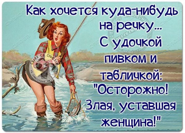 Прикольные статусы