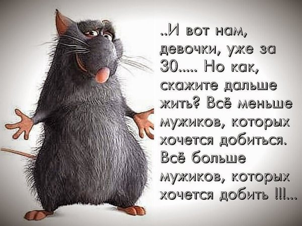 Высказывания смешные и прикольные