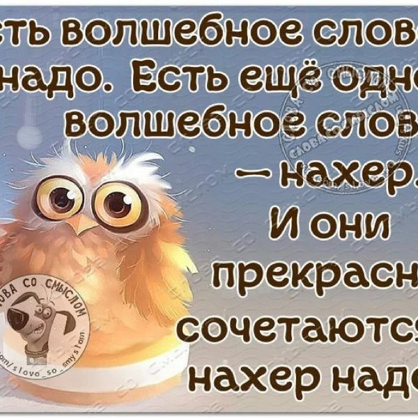 Прикольные фразы
