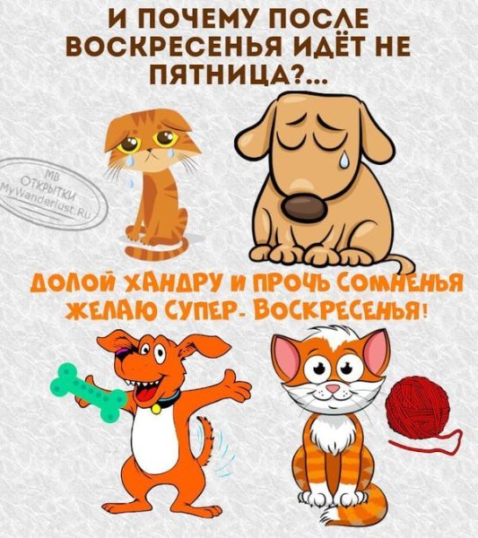 Открытки с воскресеньем прикольные