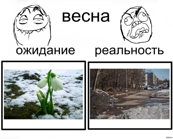 Весна мороз