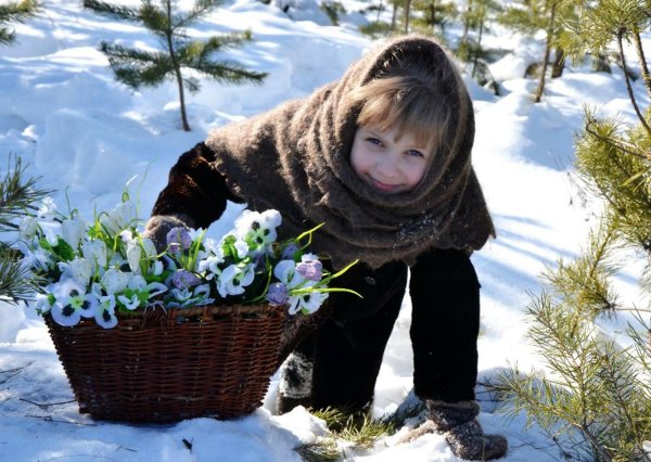 Подснежники в снегу