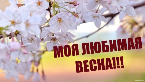 Статусы про весну