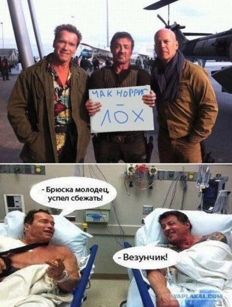 Чак Норрис Шварценеггер Сталлоне