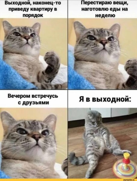 Выходной прикольные