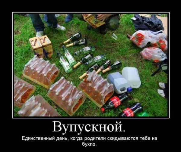 Шутки про выпускников
