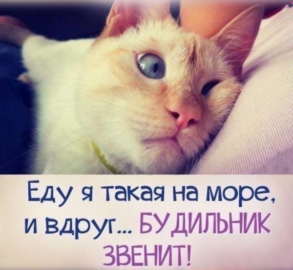Доброе утро я выспалась