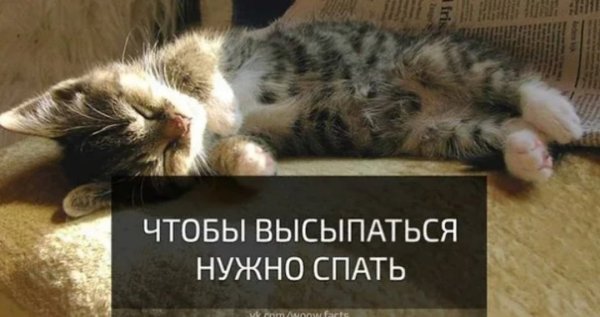 Надо спать