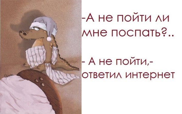 Смешные высказывания про сон