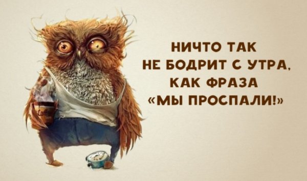 44 ФЗ приколы