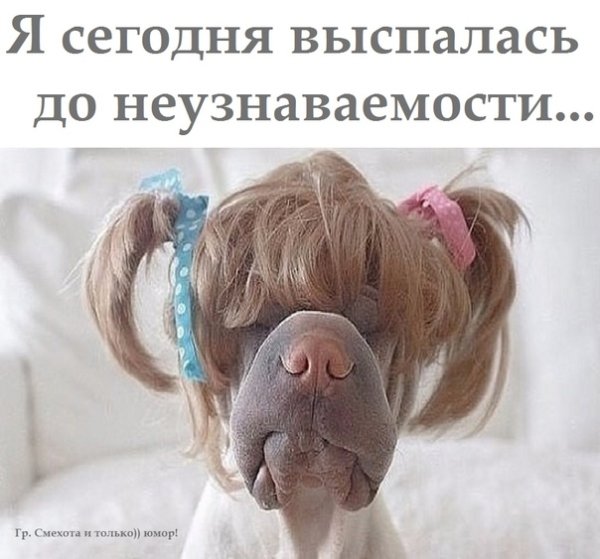 Я не выспалась картинки