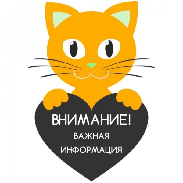 Внимание важная информация