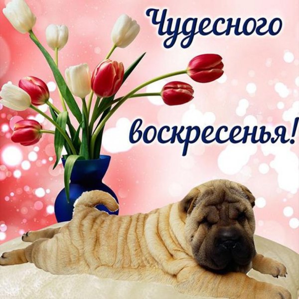 Открытки с добрым утром воскресенья
