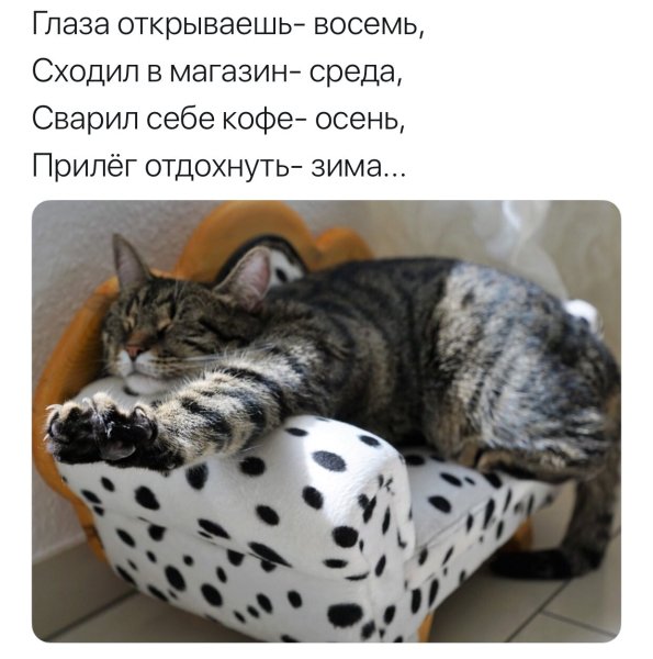 Хорошего воскресенья