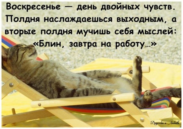 Открытки с воскресеньем прикольные