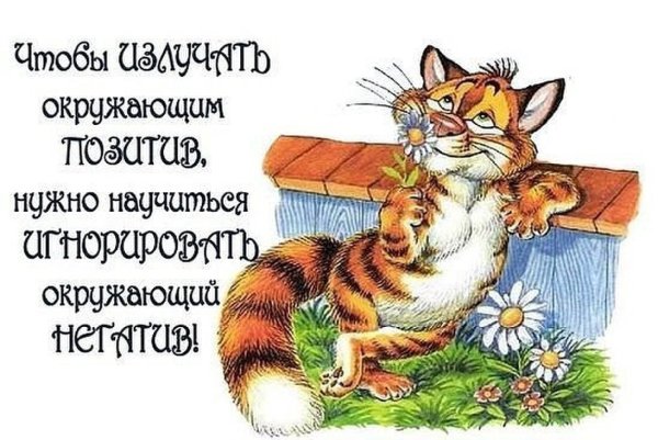 Открытка хорошего настроения с юмором