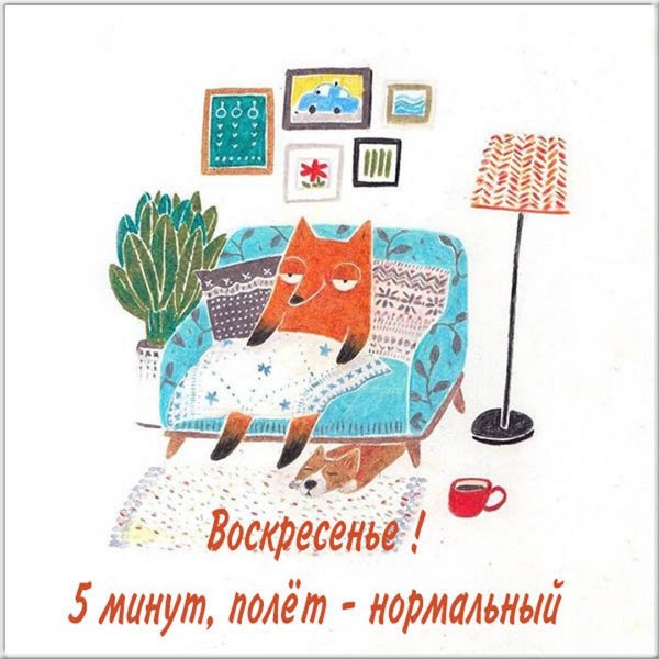 Воскресенье картинки прикольные