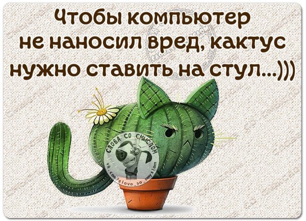 Позитивные выражения