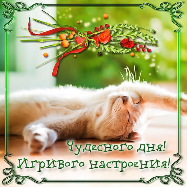 Открытки поднимающие настроение