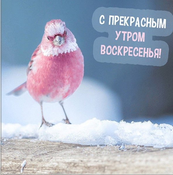 Доброе утро воскресенье зима