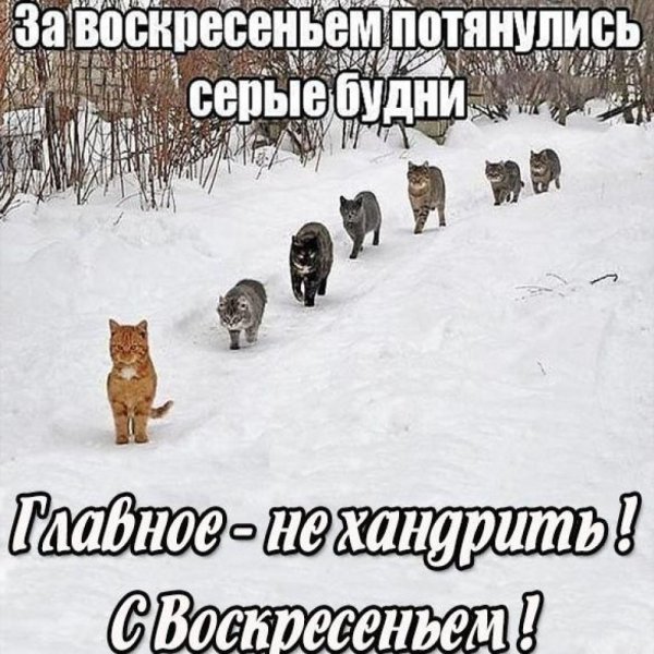 С воскресеньем прикольные