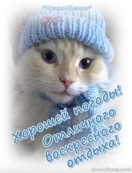 Хорошего воскресенья прикольные
