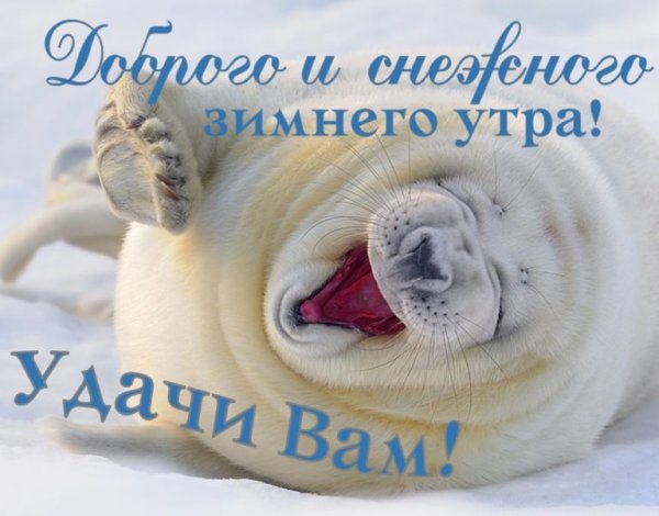 С добрым зимним утром прикольные