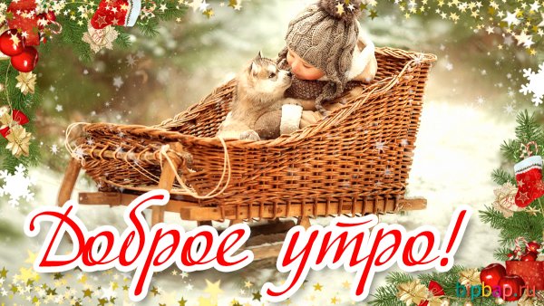 Доброе зимнее утро