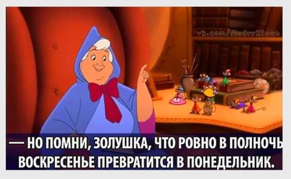 Вечер воскресенья приколы