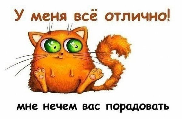 У меня все хорошо