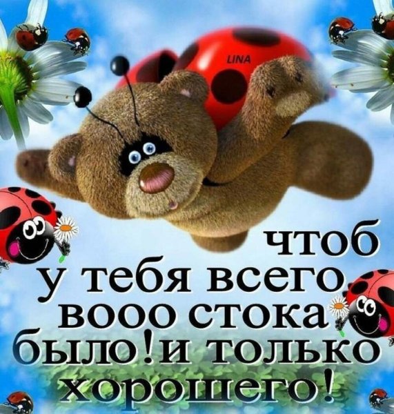 Поздравления с днём рождения Миша