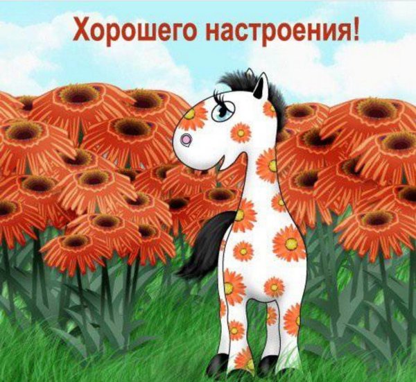 Отличного настроения картинки