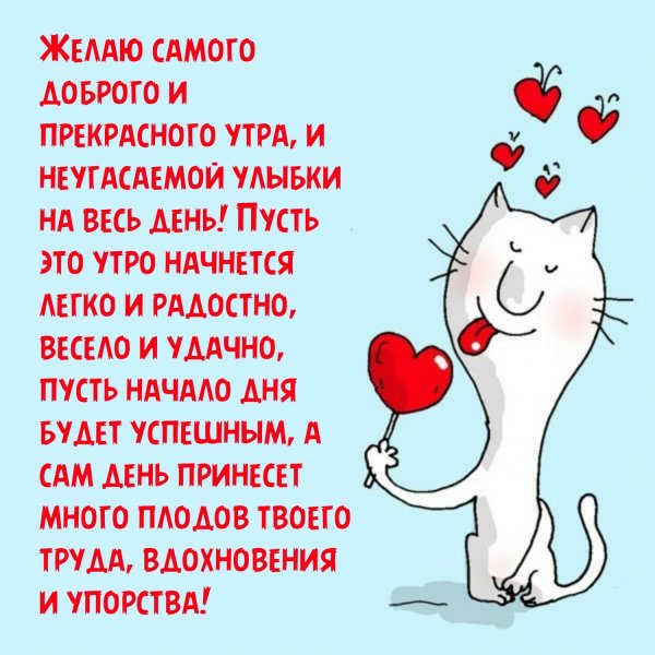 Юморные пожелания с добрым утром