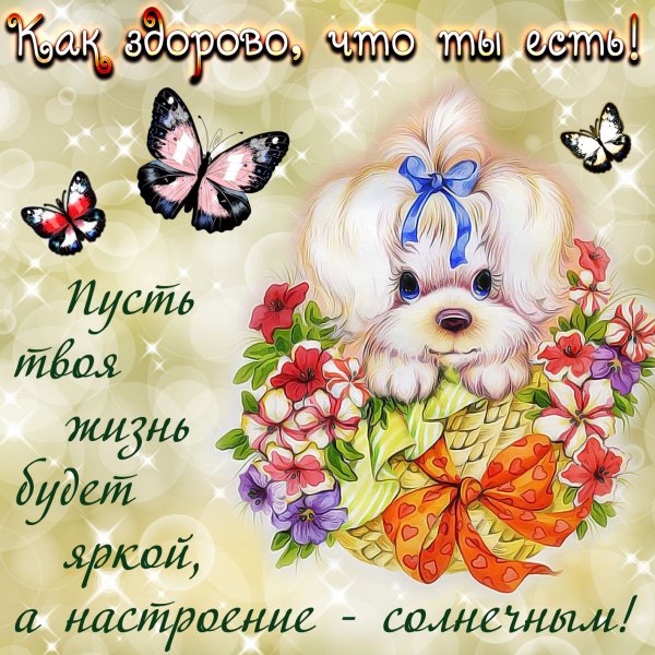 Пожелания н акждый день