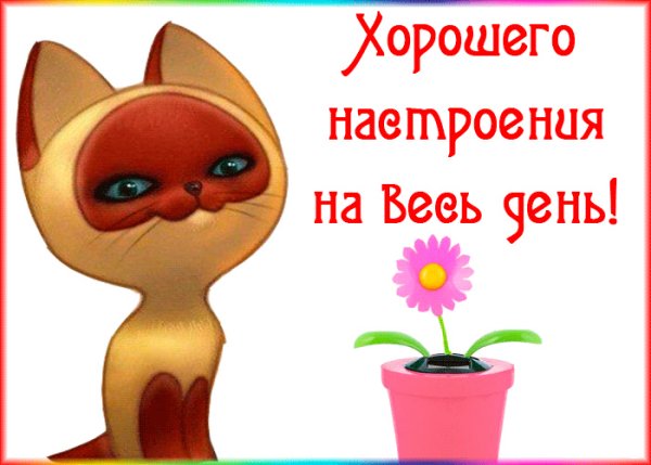 Смешные открытки для поднятия настроения