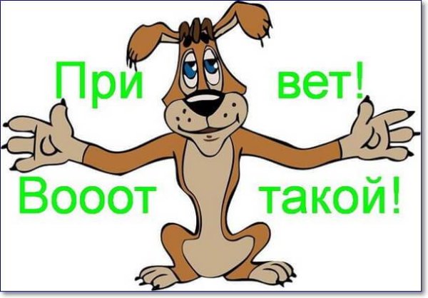 Здорово дружище