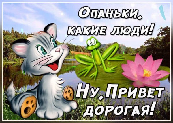 Открытка приветик дорогой