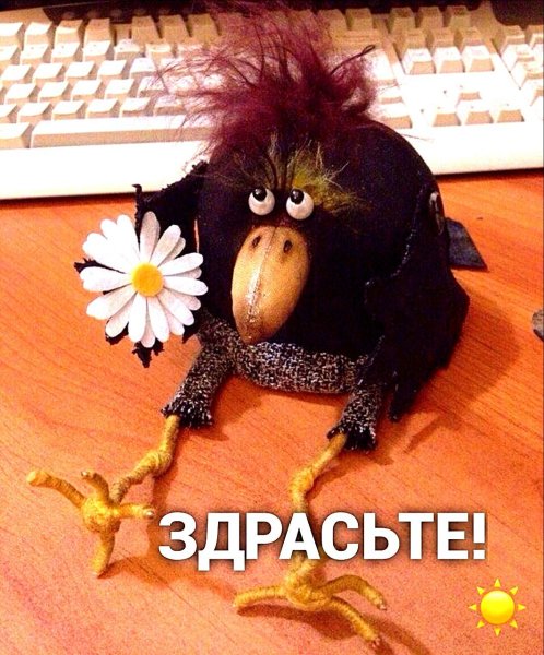 Доброе утро смешные