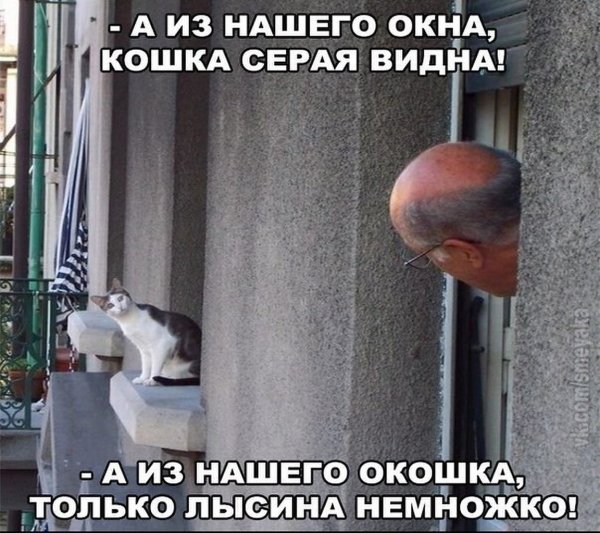 Привет другу прикольные