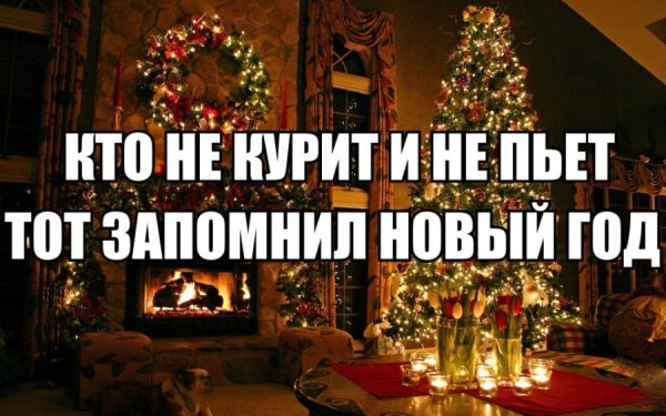 Юмор про новогодние праздники